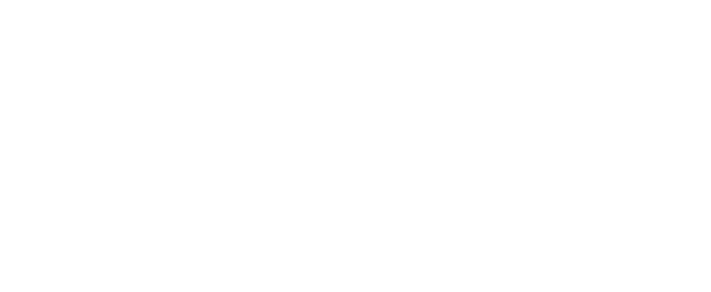 Conecta Leilões