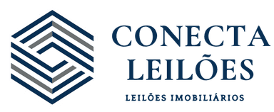 Conecta Leilões